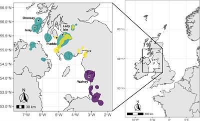 Habitat Selection and Specialisation of Herring Gulls During the Non-breeding Season